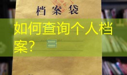 如何查询个人档案？
