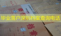 毕业落户深圳档案查询电话