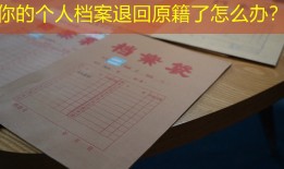 你的个人档案退回原籍了怎么办？