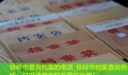 铁岭市查询档案的电话_铁岭市档案查询热线：打电话查询您所需的档案！