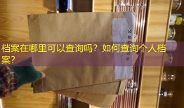 档案在哪里可以查询吗？如何查询个人档案？