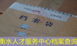 衡水人才服务中心档案查询