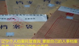 辽宁个人档案托管查询_掌握自己的人事档案信息，了解自己的职业历程。