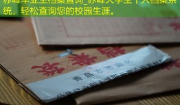 赤峰毕业生档案查询_赤峰大学生个人档案系统，轻松查询您的校园生涯。