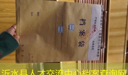 沂水县人才交流中心档案查询网