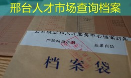 邢台人才市场查询档案