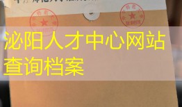 泌阳人才中心网站查询档案