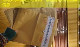 青岛人事档案查询官网：掌握青岛人事档案信息