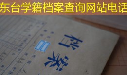 东台学籍档案查询网站电话