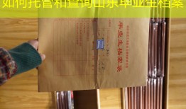 如何托管和查询山东毕业生档案