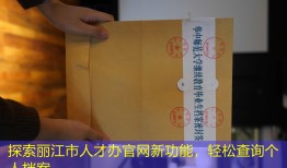 探索丽江市人才办官网新功能，轻松查询个人档案