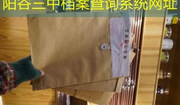 阳谷三中档案查询系统网址