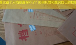 湖北省个人档案查询不了？如何托管和查询自己的档案