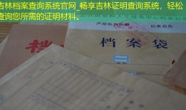 吉林档案查询系统官网_畅享吉林证明查询系统，轻松查询您所需的证明材料。
