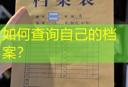 如何查询自己的档案？