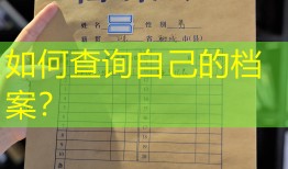 如何查询自己的档案？