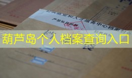 葫芦岛个人档案查询入口