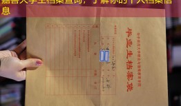嘉善大学生档案查询，了解你的个人档案信息