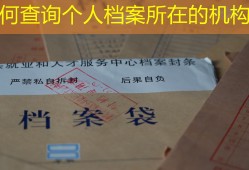 如何查询个人档案所在的机构？
