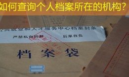 如何查询个人档案所在的机构？