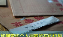 如何查询个人档案所在的机构