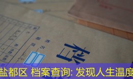 盐都区 档案查询: 发现人生温度