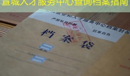 宣城人才服务中心查询档案指南