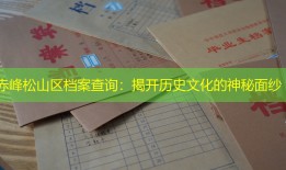 赤峰松山区档案查询：揭开历史文化的神秘面纱