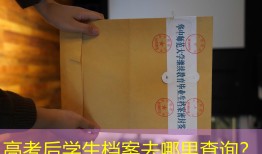 高考后学生档案去哪里查询？