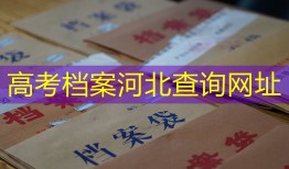 高考档案河北查询网址