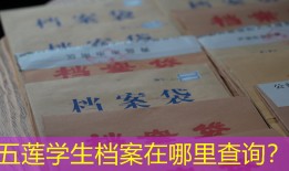 五莲学生档案在哪里查询？