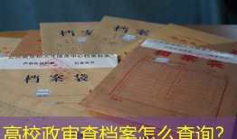 高校政审查档案怎么查询？