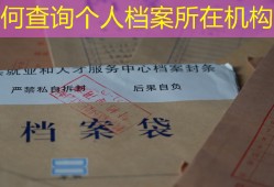 如何查询个人档案所在机构？