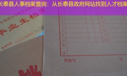 长泰县人事档案查询：从长泰县政府网站找到人才档案