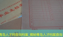 青岛人才网查询档案_揭秘青岛人才档案查询