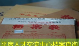 平度人才交流中心档案查询
