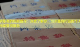 求职者的档案查询：深度了解你，为你量身打造的个人档案查询服务
