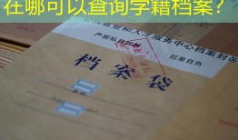 在哪可以查询学籍档案？
