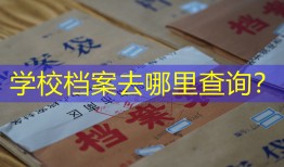 学校档案去哪里查询？