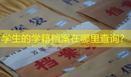 学生的学籍档案在哪里查询？