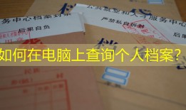 如何在电脑上查询个人档案？