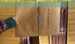 想要轻松查询无锡档案吗？访问这个网站！