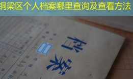 铜梁区个人档案哪里查询及查看方法