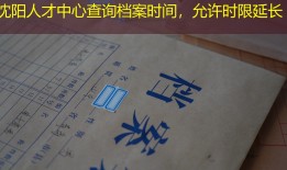 沈阳人才中心查询档案时间，允许时限延长