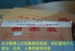 长沙智慧人社档案查询系统：轻松查询个人就业、社保、人事档案等信息