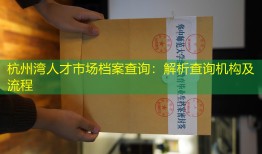 杭州湾人才市场档案查询：解析查询机构及流程