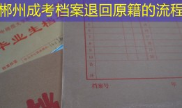 郴州成考档案退回原籍的流程