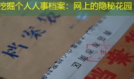 挖掘个人人事档案：网上的隐秘花园