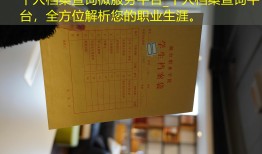 个人档案查询微服务平台_个人档案查询平台，全方位解析您的职业生涯。