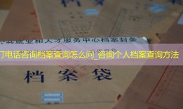 打电话咨询档案查询怎么问_咨询个人档案查询方法